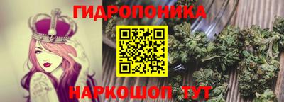 ПСИЛОЦИБИНОВЫЕ ГРИБЫ Моздок